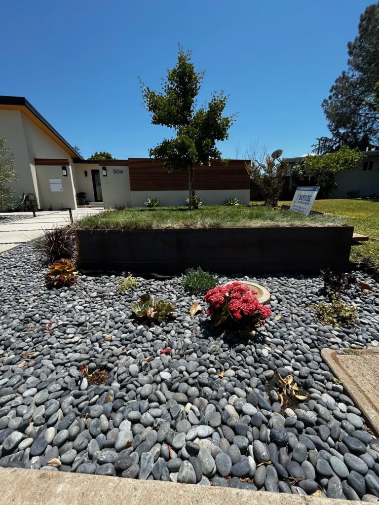 Color Your Landscape Sustainably: Creative Bay Area Garden Design Tips