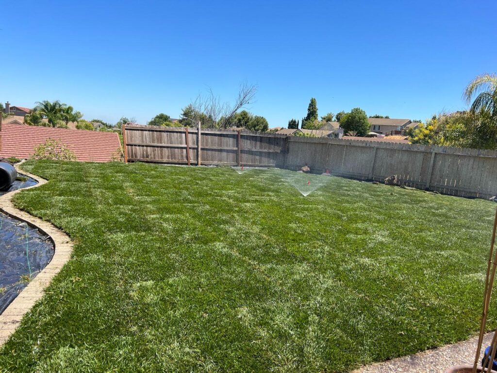 How to Maintain a Healthy Lawn That Will Be the Envy of Your Neighborhood