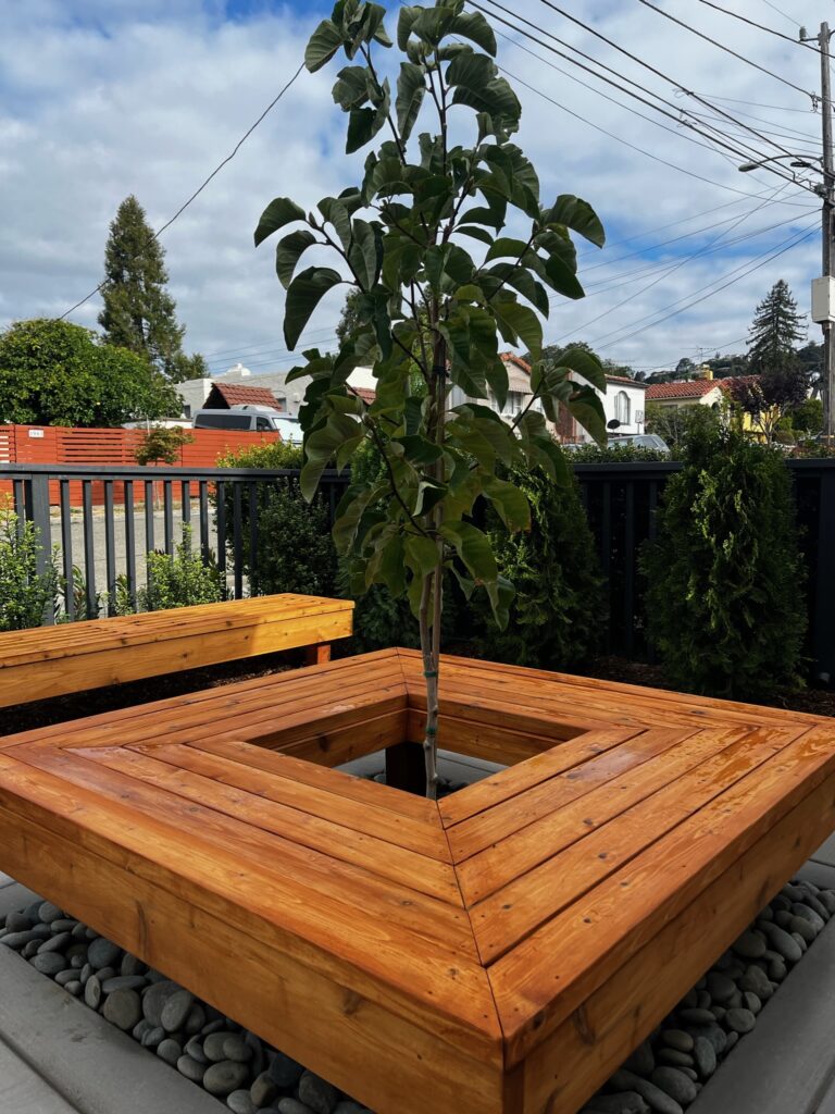 7 Important Landscaping Trends For 2024