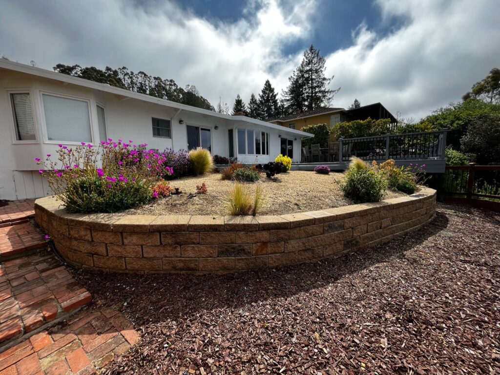 Low-Maintenance Landscaping: Designing Sustainable Spaces to Withstand Weather Extremes in the Bay Area