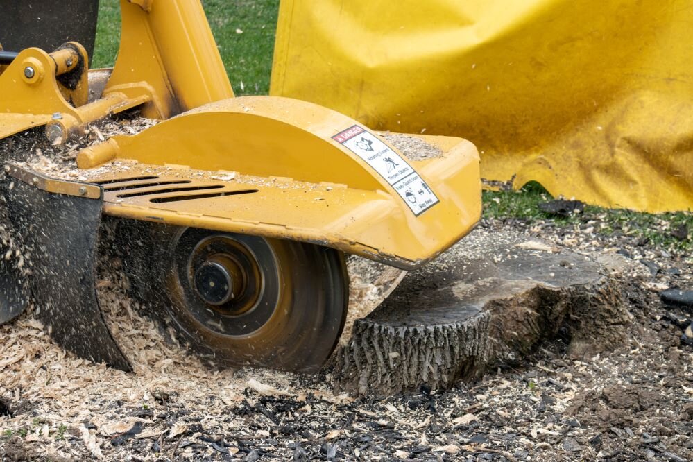 Tree+Stump+Grinding