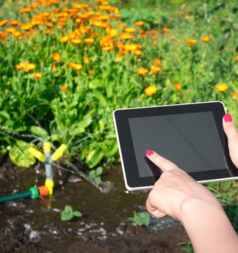 Smart garden concept. Woman is holding in hand a blank screen tablet computer on a garden sprinkler background.