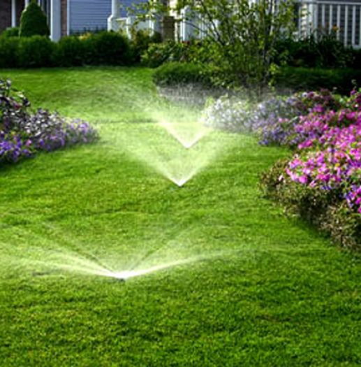 irrigation-water-management-bay-area-sustainable-landscaping-ca