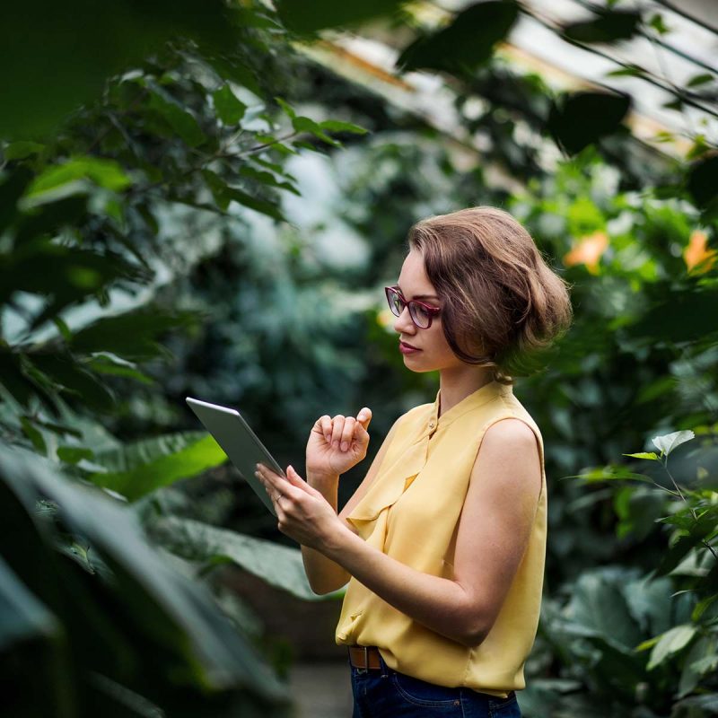 young-woman-standing-in-greenhouse-in-botanical-4KLTJ7M.jpg young-woman-standing-in-greenhouse-in-botanical-4KLTJ7M.jpg